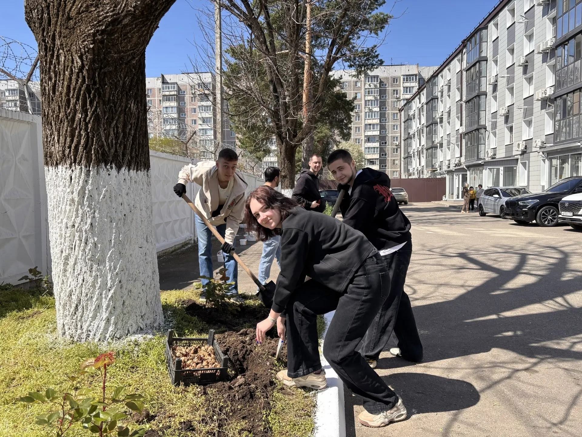 Члены Молодежного Общественного совета при ТИК Калининская г. Краснодара приняли участие в субботниках