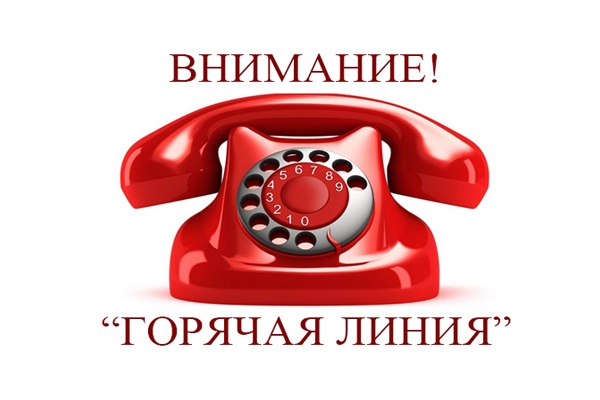 В избирательной комиссии Краснодарского края начинает работу «горячая линия» по вопросам выборов