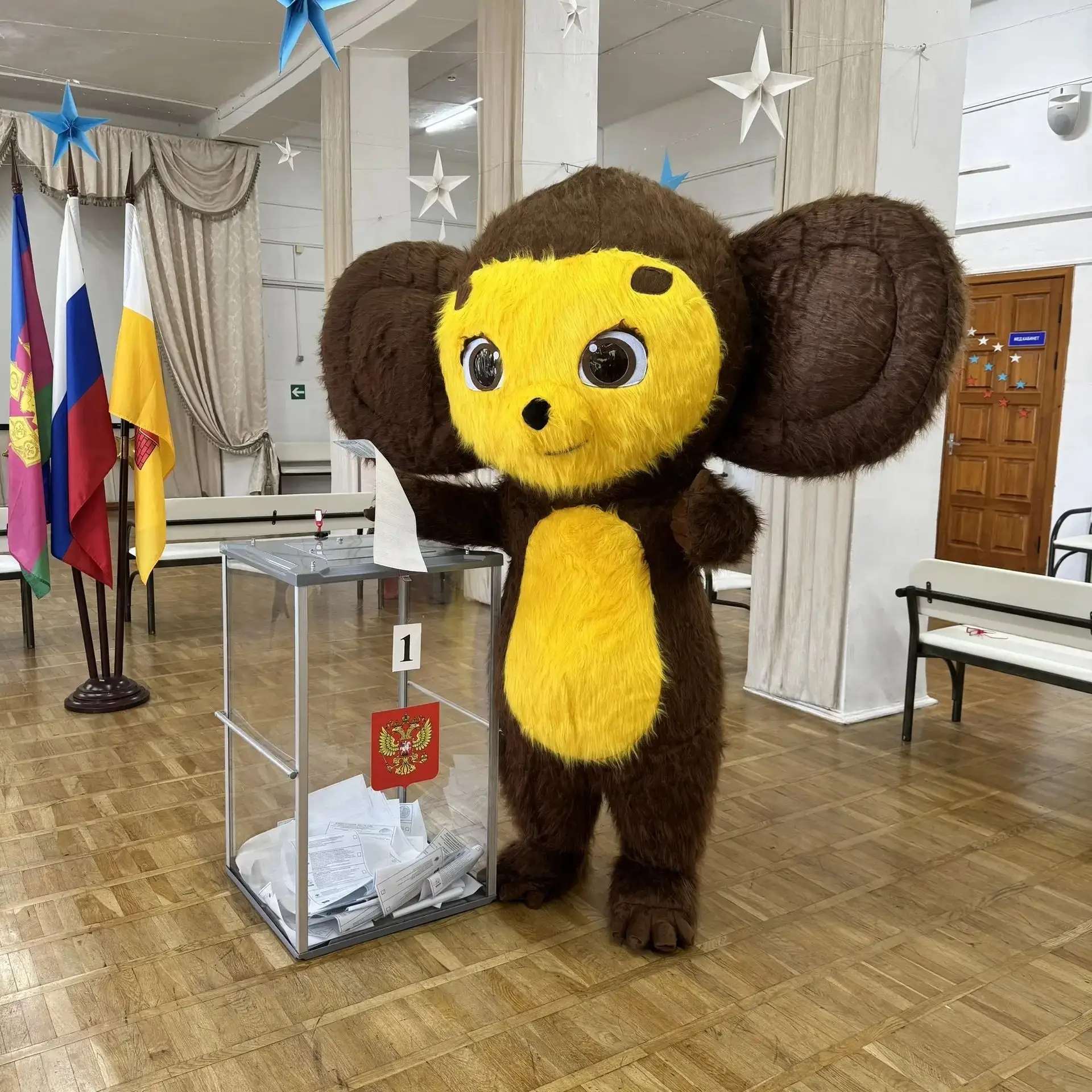 СРОЧНОЕ ВКЛЮЧЕНИЕ С ИЗБИРАТЕЛЬНЫХ УЧАСТКОВ